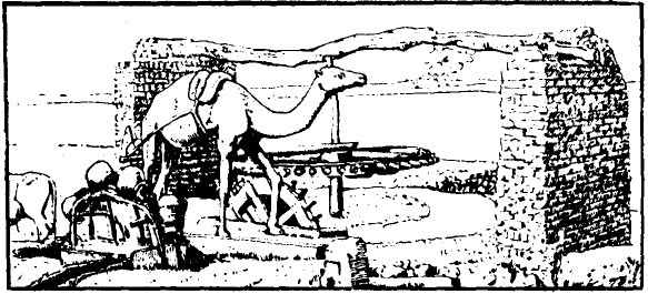 減速馬達齒輪發展史